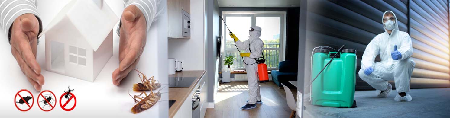 1644809524_Pest Control Services.jpg